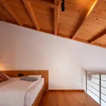 Omnia - 